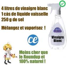 La Recette Puissante Du Desherbant Au Vinaigre Blanc Puissant Et 100 Efficace Desherbant Maison Desherbant Naturel Desherbants Faits Maison