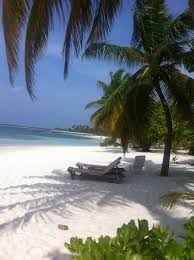 Your maldivian dreams are about to come true at the standard's first island escape. A Beautiful White Sand Beach At Kuredu Island Resort The Maldives Beach Maldives Island Island Resort Beautiful Beaches Beaches In The World