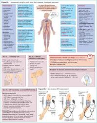 Image result for Neonatal Circulation Assessment