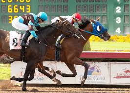 Carreras de Caballos en Los Alamitos: Pronósticos para el 21 de Junio de 2025 - Imagen principal del artículo