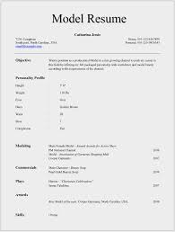 26 Inspirational Basic Resume Model Best Resume Examples