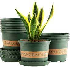 Top selected products and reviews. Yangbaga Set Of 10 Plastic Plant Pots With Saucer Green 16 Cm 1 7 L Flower Pot With Base Holes Small Cultivation Pots For Succulents Green Dill Cactus Fig 16 X 12 5 X 12 Cm Amazon De Garten