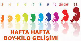 anne karninda bebegin boyu ve kilosu