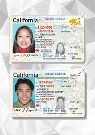 Id, ego, and superego are part of freud's human personality theory. 30 Id Card Examples In Psd Ai Ms Word Publisher Pages Examples