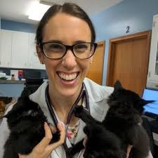 Consult your local veterinarian to make sure you and your family are ready to love and care for the new family member. Algonquin Il 60102 Veterinarians All Paws Veterinary Clinic