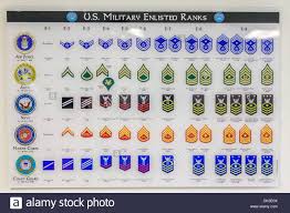 Chart Showing Us Military Enlisted Personnel Rank