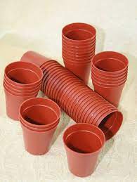 100 Miniature Plastic Pots 45mm 1 And 3 4 Quot For Growing Plants Starts Plastic Plant Pots Small Potted Plants Plastic Plants