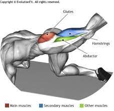 Maybe you would like to learn more about one of these? 150 Glutes Hamstrings Calves Quads Ideas Fitness Body Exercise Fitness Tips