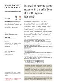 Leia retrouve ses parents, sa maison, mais elle n'a plus aucun souvenir d'eux, ni de l'endroit où elle a vécu. Pdf The Mark Of Captivity Plastic Responses In The Ankle Bone Of A Wild Ungulate Sus Scrofa