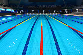 They are usually 3 1/2 to 4 feet deep. Olympic Swimming Pool Free Stock Photo Shotstash