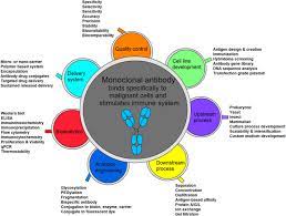 Preservation of animal cell lines 28 6. Mammalian Cell Culture For Production Of Recombinant Proteins A Review Of The Critical Steps In Their Biomanufacturing Sciencedirect