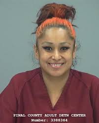 Pinal County Sheriff's log, 03/28/24