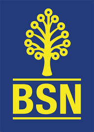 Ikuti panduan lengkap cara pinjam uang di bank bca langkah pertama yang harus kalian tentukan ialah dengan memilih jenis pinjaman. Bsn Personal Get Today Bsn Personal Loan Up To 10 Years Loan Tenure Professional Writing A Bsn Personal Statement Help