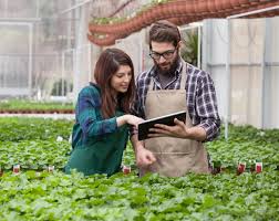 Watch a video to learn what a biomass power plant manager does however, over 60% held a bachelor's degree. What Does A Nursery Manager Do With Pictures