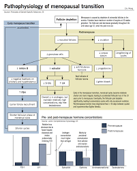 menopause mcmaster pathophysiology review