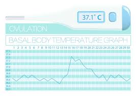 Basal Body Temperature How To Measure Bbt To Get Pregnant