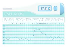 basal body temperature how to measure bbt to get pregnant