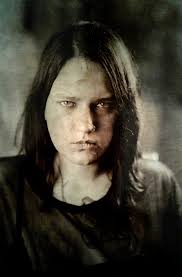 The sun draws an arbor