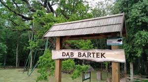 1,857 likes · 23 talking about this · 6,938 were here. Produkty Lokalne Pl Dab Bartek