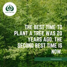 It was very clear to me in 1965, in mississippi, that, as a. Tree Quotes Quotes About Stump Of A Tree 22 Quotes Dogtrainingobedienceschool Com