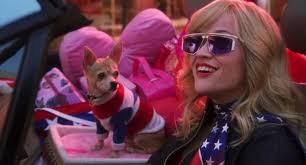 10 Awesome Dogs On The Big And Small Screens Legally Blonde 4th Of July Swimsuits Fourth Of July