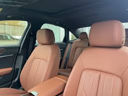 Image result for Argus Brown 2021 Audi