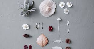 Check spelling or type a new query. Creative Photoshoot Ideas You Can Try At Home Affinity Spotlight