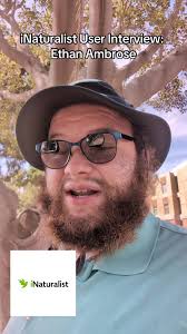 Matthew Ambrose Ginger