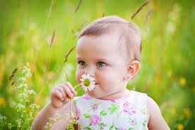 1,866 Little Girl Daisy Flower Field Stock Photos