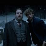 Even if the main adventure takes place in brazil, that doesn't rule out the third movie spending more. Fantastic Beasts 3 To Release In July 2022 The Leaky Cauldron Org The Leaky Cauldron Org