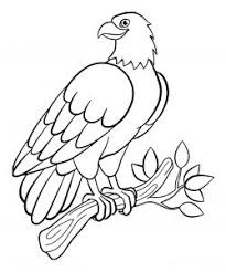Bird coloring pages for kids are black and white pictures of various birds from all over the world. Birds Free Printable Coloring Pages For Kids