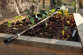 Easy Drip Irrigation For Raised Beds Drip Irrigation Edible Garden Fall Garden Vegetables