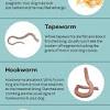 Maybe you would like to learn more about one of these? 3