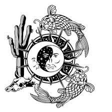In order for the bright section of the plant. Moon Sun Cactus Koi Gardens Moonsuncnk Profile Pinterest