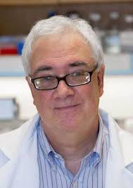 The Barcelona HPV Course 2022