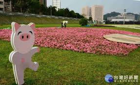周末赏花好去处北市道南河滨花海缤纷绽放https healthdig co news 27704 feed id 102757 unique id 5c91d19e75e82 台北市 道南河滨公园 新闻时序进入 春分 气温逐渐回暖 各式花木争艳盛开 台北市政府工务局水利工程处也把