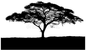 Silhouette Of The Tree African Savannah Royalty Free Illustration African Tree Savannah Chat Stock Illustration