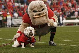 Our products advantages:the flexibility is very good and it is very light user could breathe easily from the holes of the eyes, mouths and the neck area. College Football 2011 The 50 Best Mascots In College Football Georgia Bulldog Mascot Georgia Dawgs Georgia Bulldogs Football
