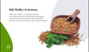Kandungan alami dalam biji ini mengandung fungsi anti jamur. Avicennahealth Publicacoes Facebook