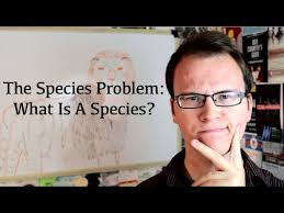 Discussing the Species Problem