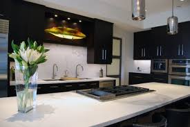 Easy kitchen cabinet painting tutorial. Sarnia Cabinets Sarnia On Ca N7t 7h3 Houzz