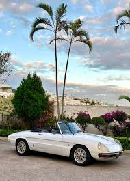 Image result for Avorio 1980 Alfa-Romeo