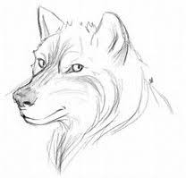 Image Result For Easy Thing To Draw For Beginners Step By Step Pencil Drawings Tumblr Animal Sketches Easy Drawing For Beginners
