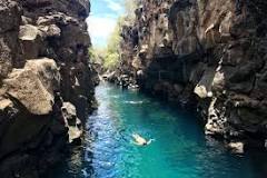 Qué ver en las Islas Galápagos? - Civitatis Magazine
