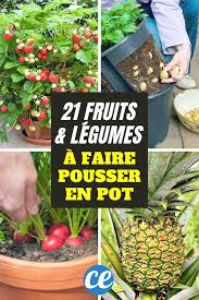 Epingle Sur Jardin