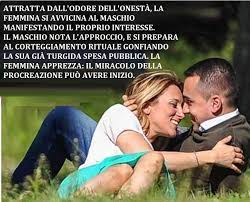 Ne abbiamo avute di occasioni perdendole. La Stagione Dell Amore Da Phazyo Bancadelmeme