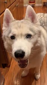 Happy Boy Neohttps I Redd It Ohvzevr8dsf21 Jpg