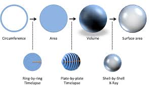 In order to answer this question, we should know the formulas for finding the volume and circumference of a circle: Betterexplained Calculus Lesson 15