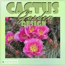 You certainly have no need to worry when you're trying to find the cactus garden. Cactus Garden Design My New Cactus Garden