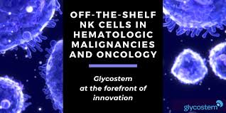 The role of nk cells is analogous to that of cytotoxic t cells in the vertebrate adaptive immune response. Off The Shelf Nk Cells In Hematologic Malignancies And Oncology Bioinformant